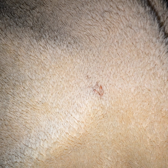 Fleece Throw Blanket - Picture 4 of 4